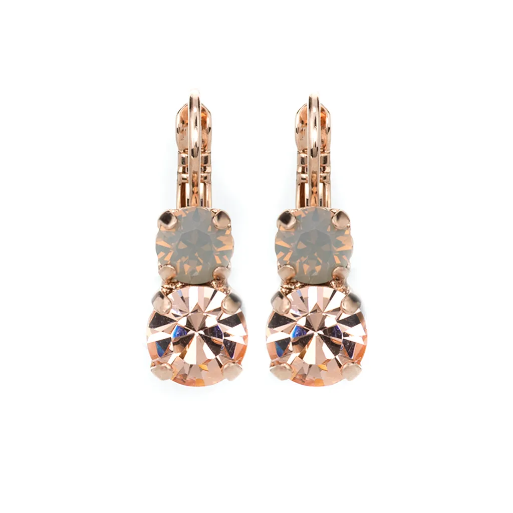 Peace Leverback Earring